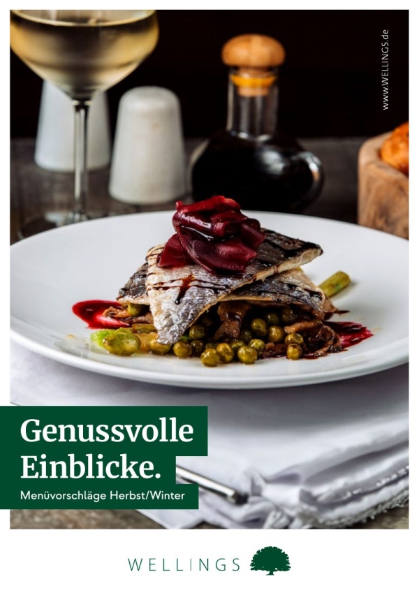 Menüvorschläge – PDF: menuevorschlaege_wellings.pdf